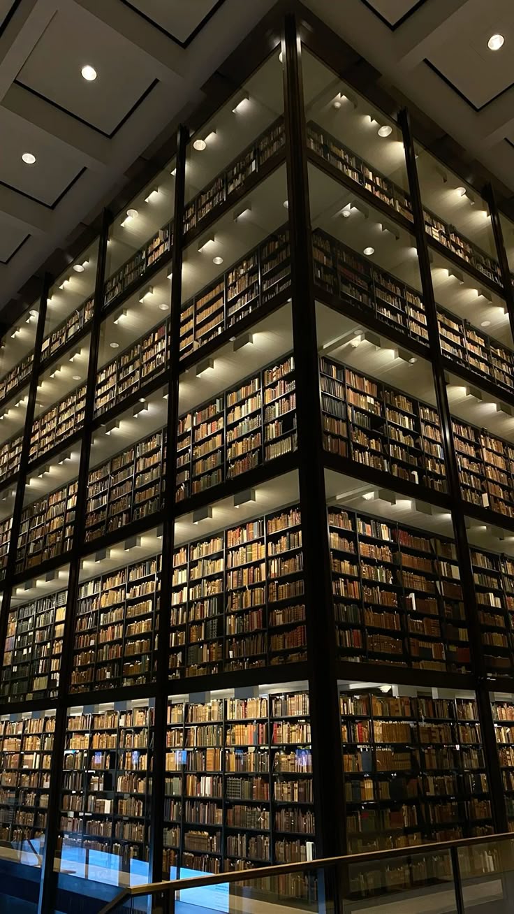 SAT Algebra Study Guide - Comprehensive Learning Experience